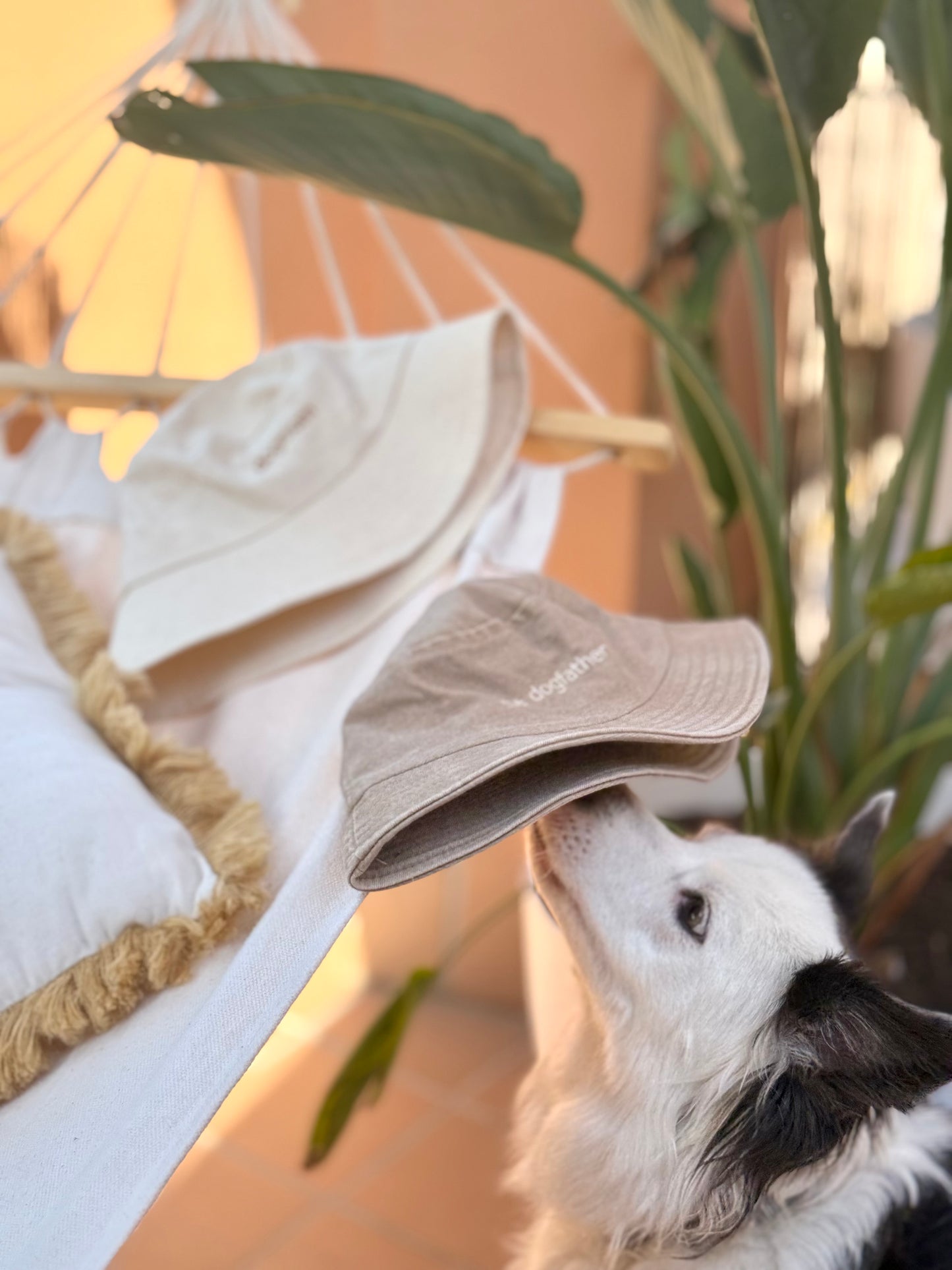 Sombrero de pescador – dogmum / el padre perro - Tail and Tropic