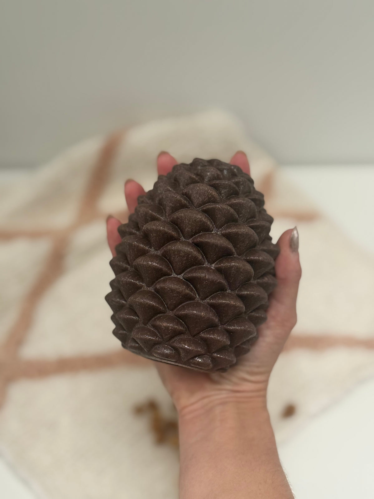 Ancol Treat Dispensing Pine Cone