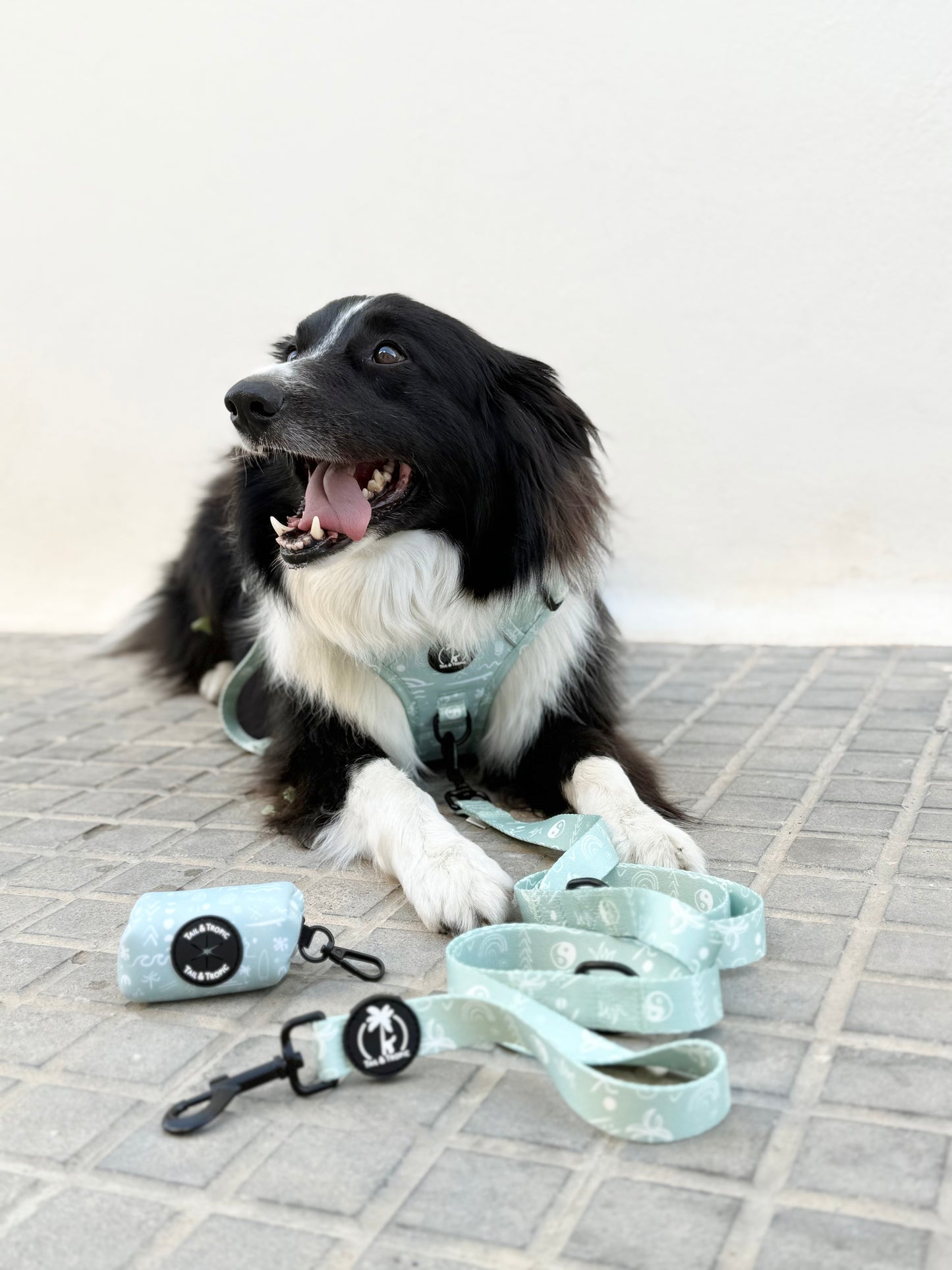 Correa Multiposición para Perros – Colección AURA 🌊 | Libertad Manos Libres en Azul Boho Mediterráneo – Tail & Tropic