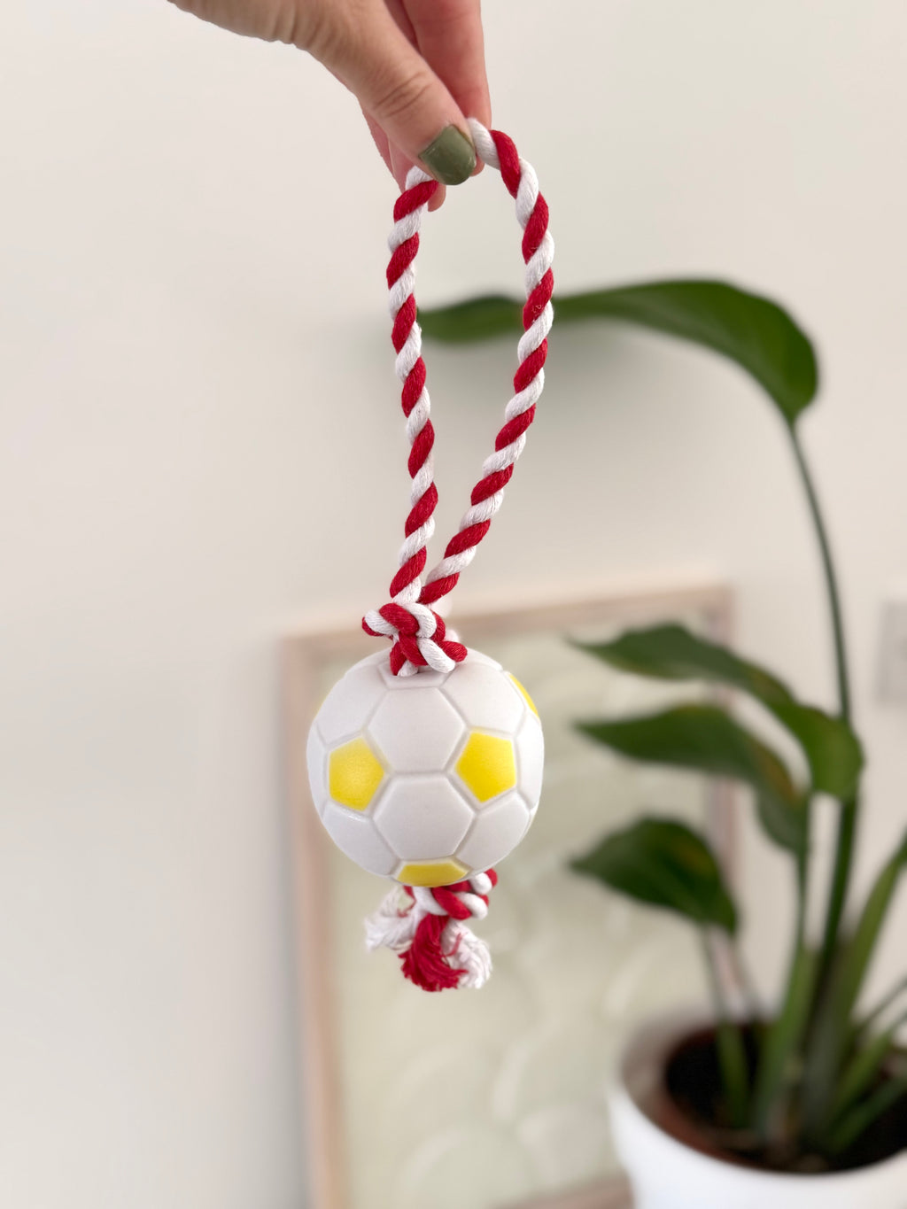 Football Rope and Ball Toy
