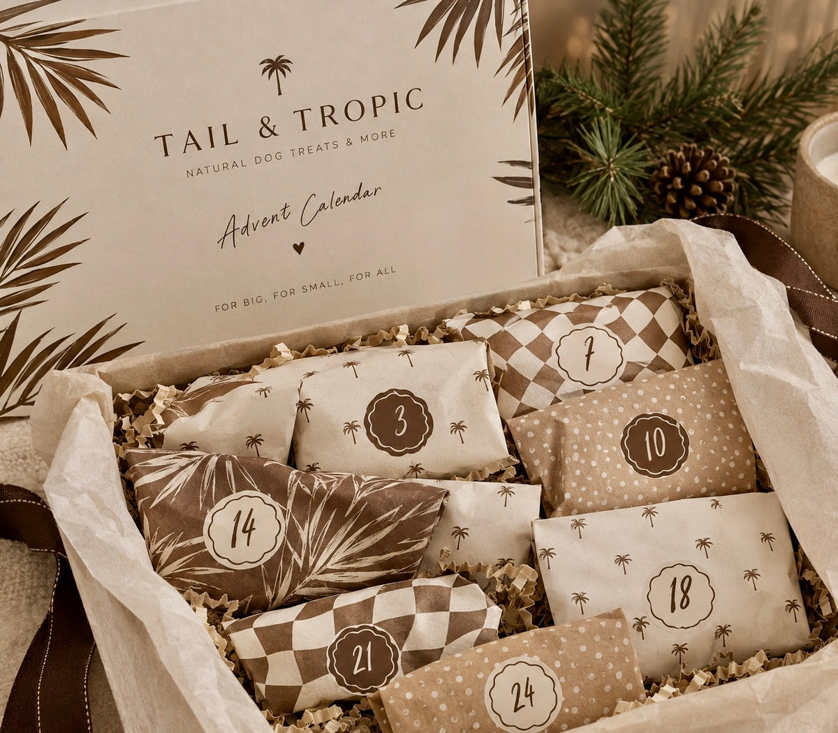 THE TAIL & TROPIC ADVENT CALENDAR 🎄