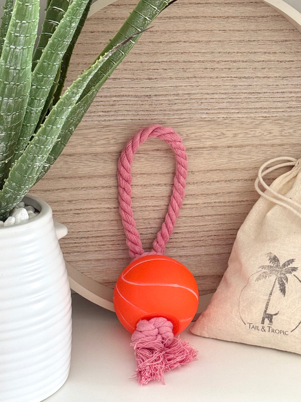 Basketball Rope and Ball Toy