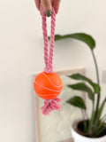Basketball Rope and Ball Toy