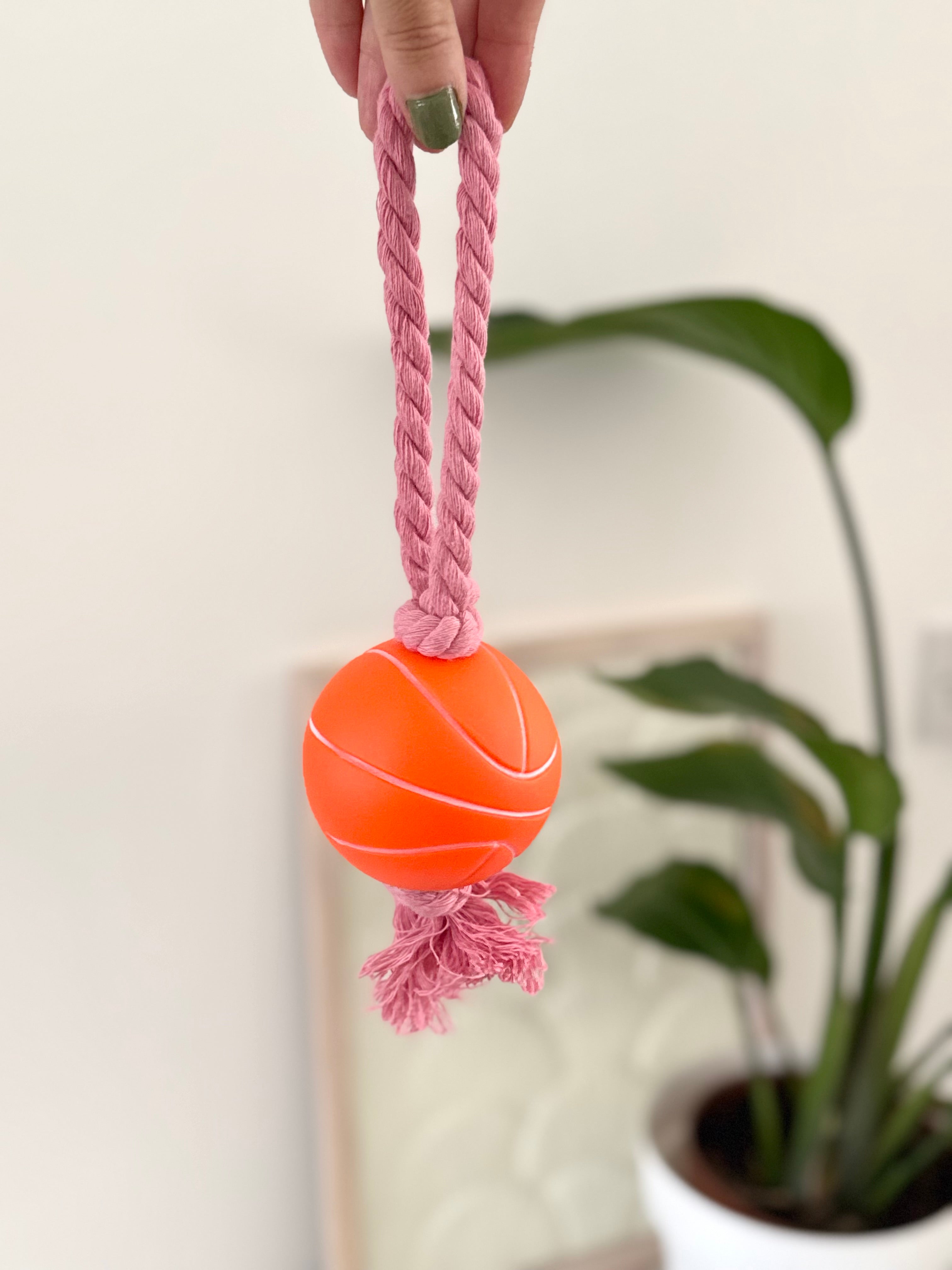 Basketball Rope and Ball Toy