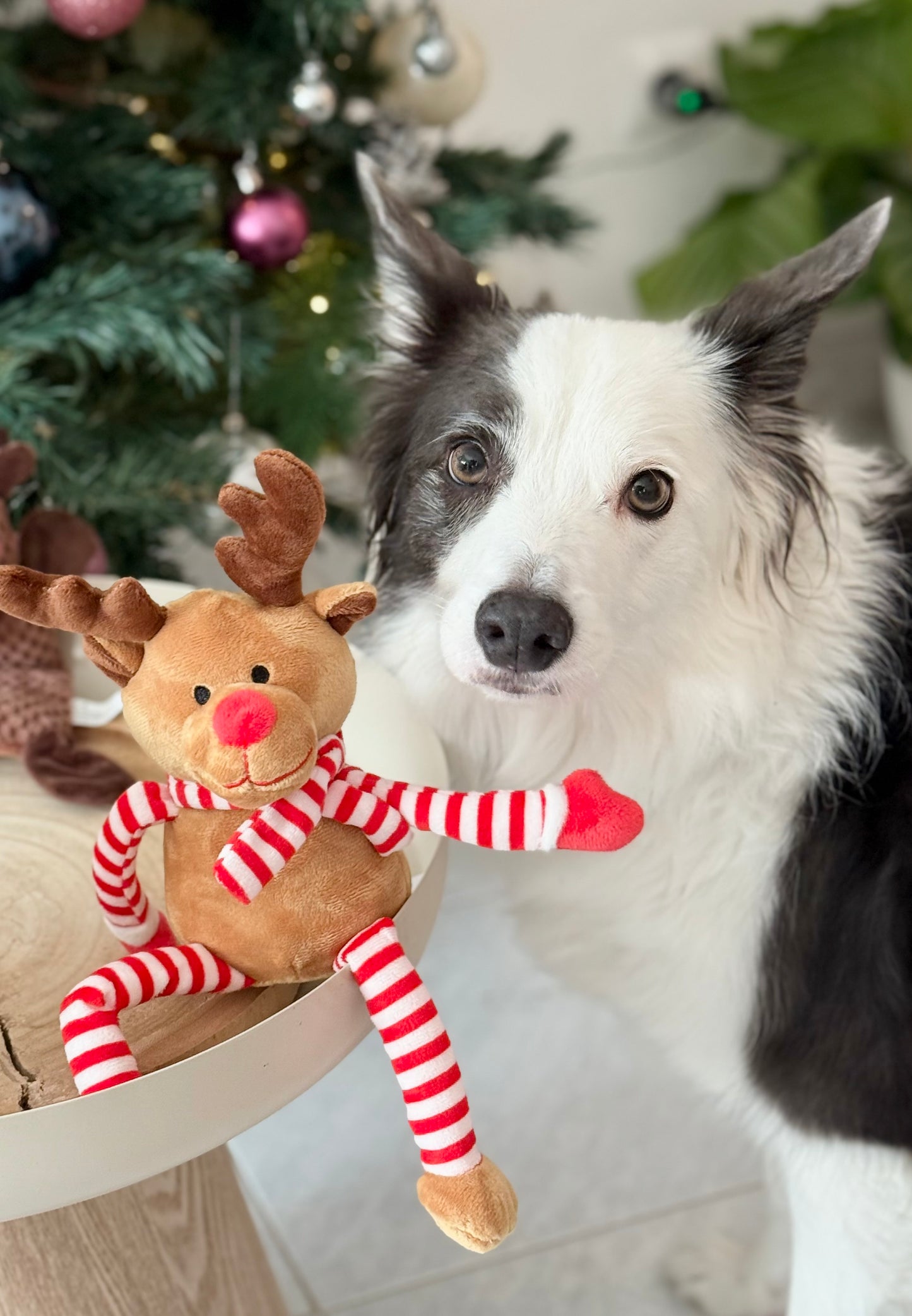 XMAS Happy Reindeer Plush – 30 cm - Tail and Tropic