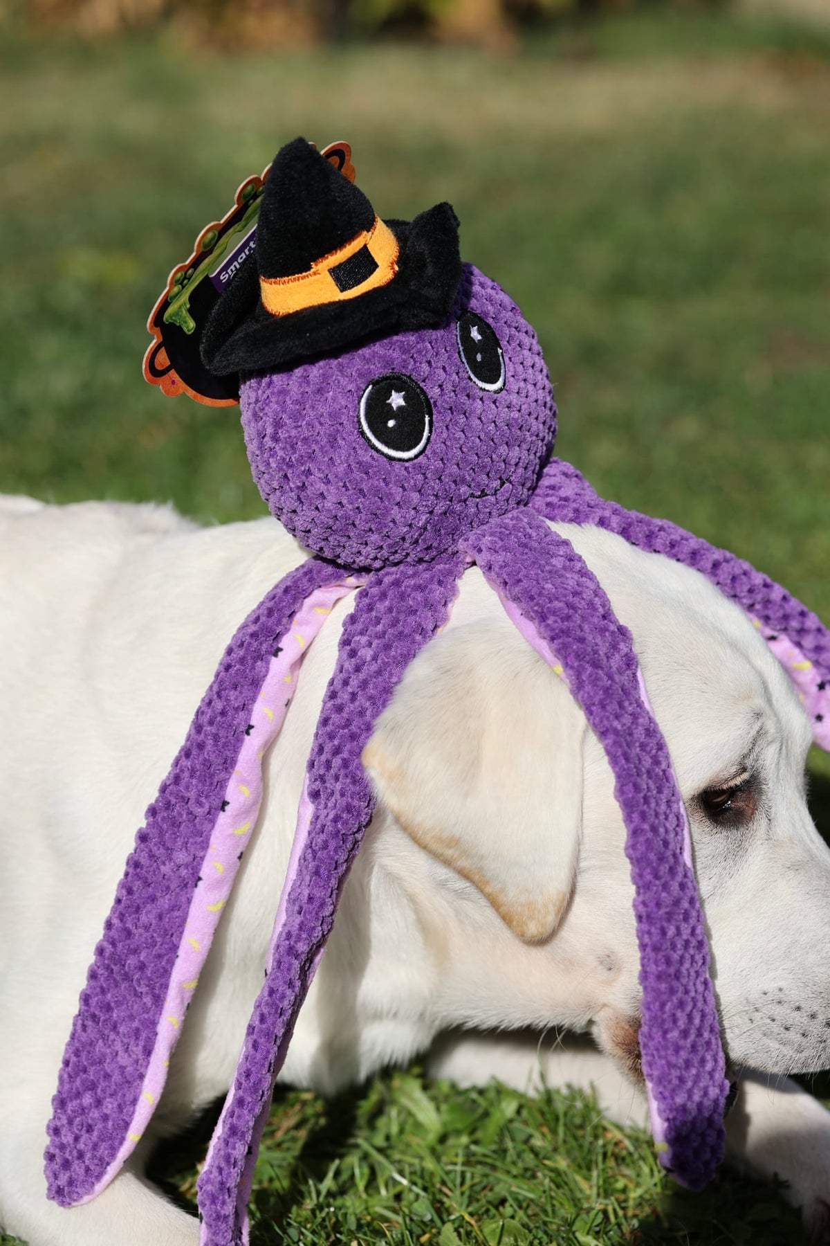 Big 48cm Octo Ophelia Halloween Plush