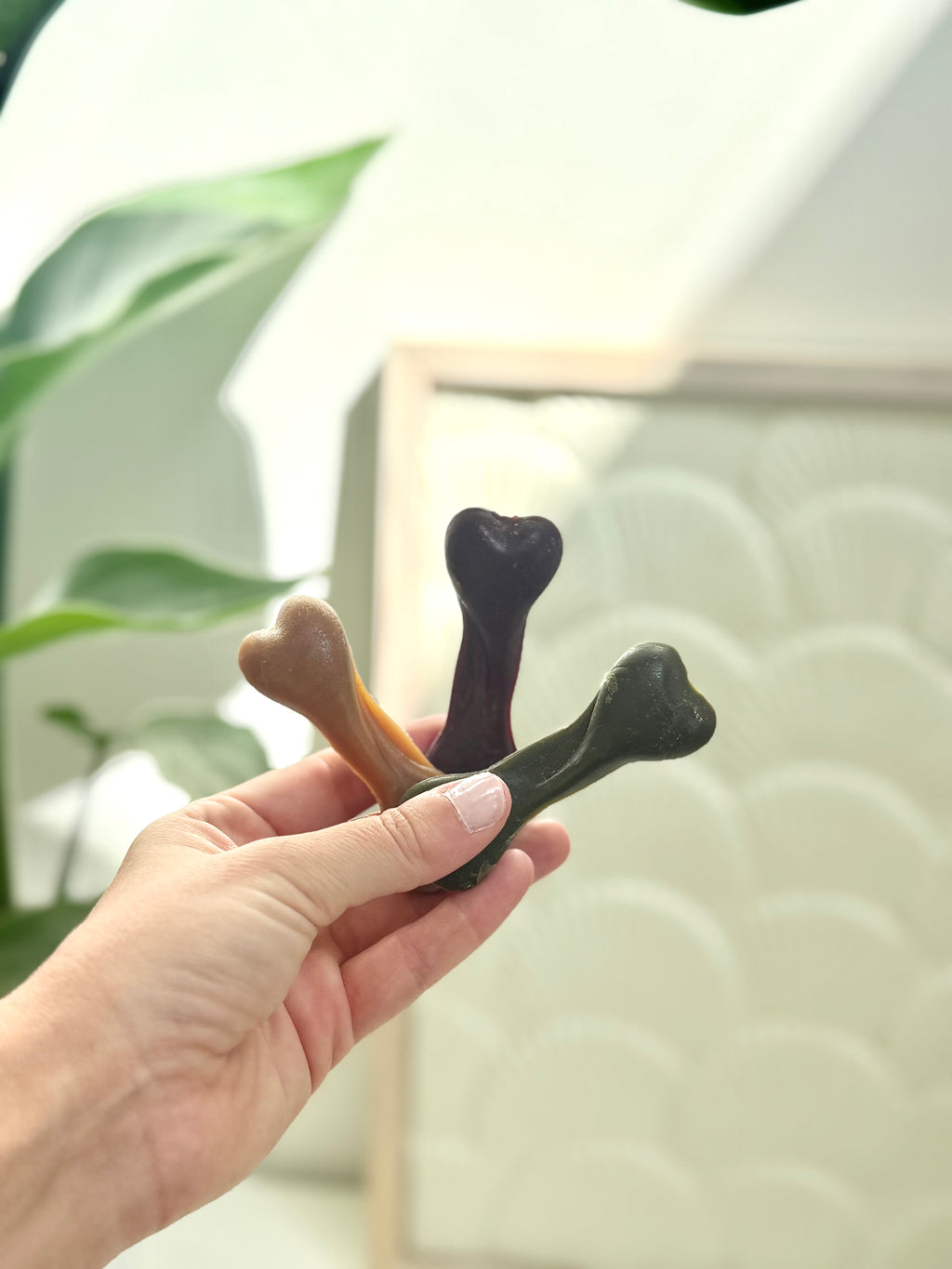 Fruit & Veg Bone