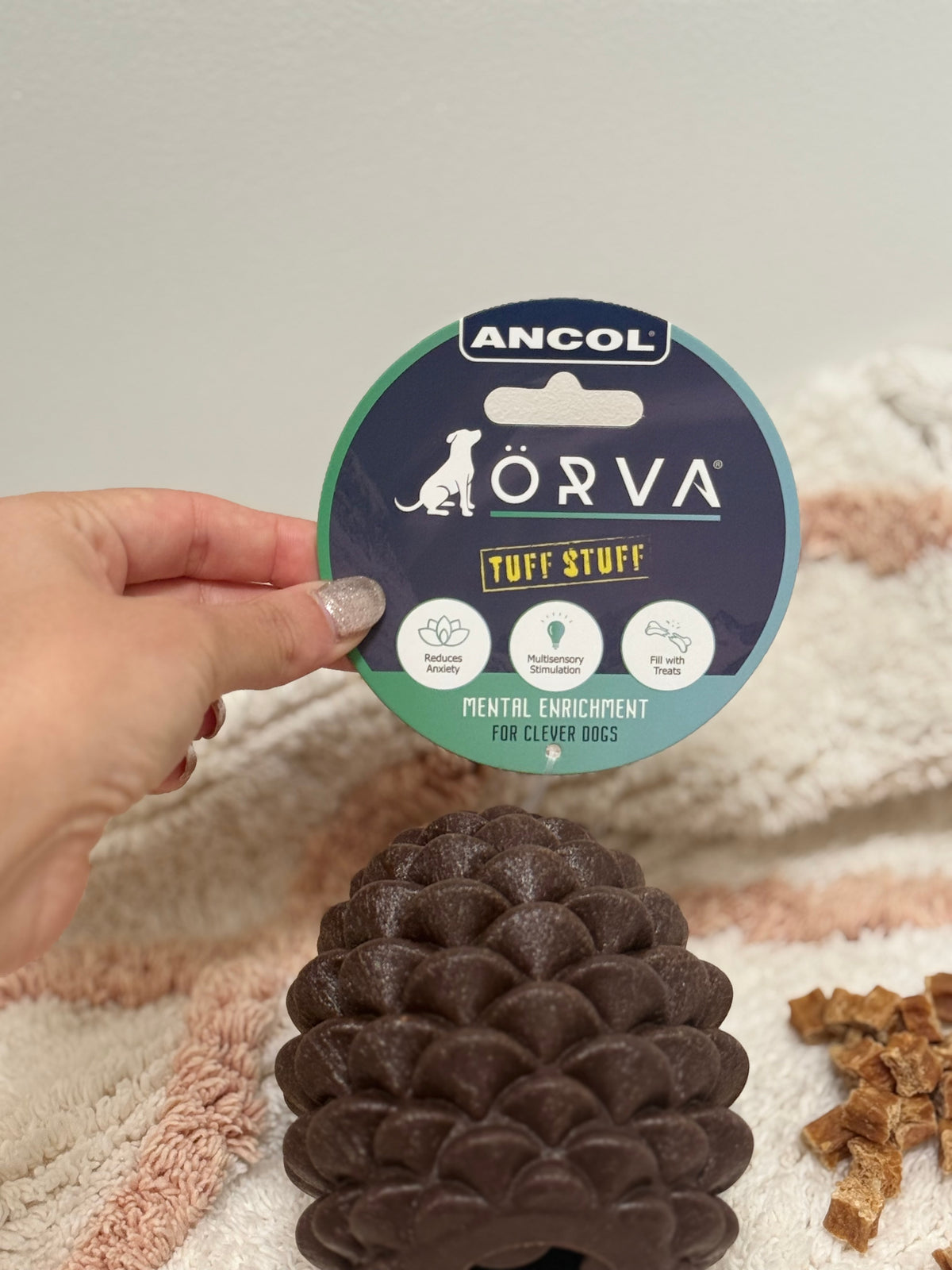 Ancol Treat Dispensing Pine Cone