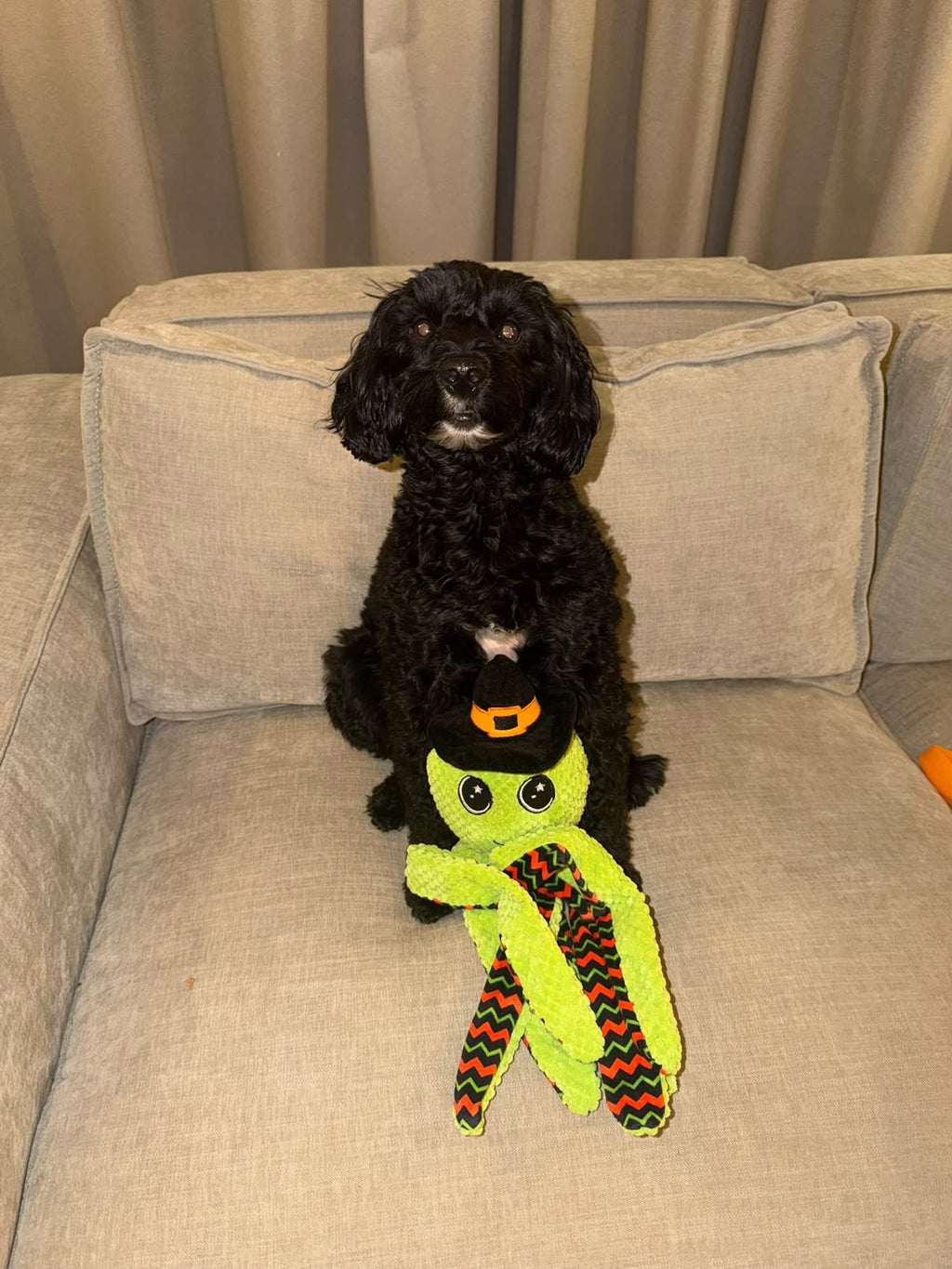 Big 48cm Octo Ophelia Halloween Plush