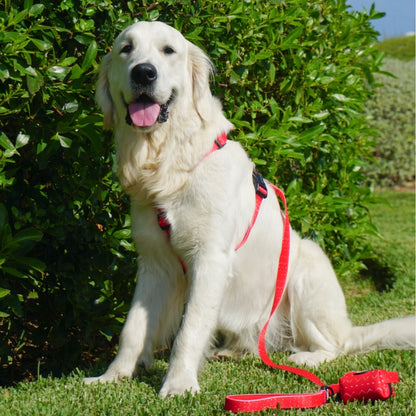 BLAZE - Adjustable H Harness for dogs