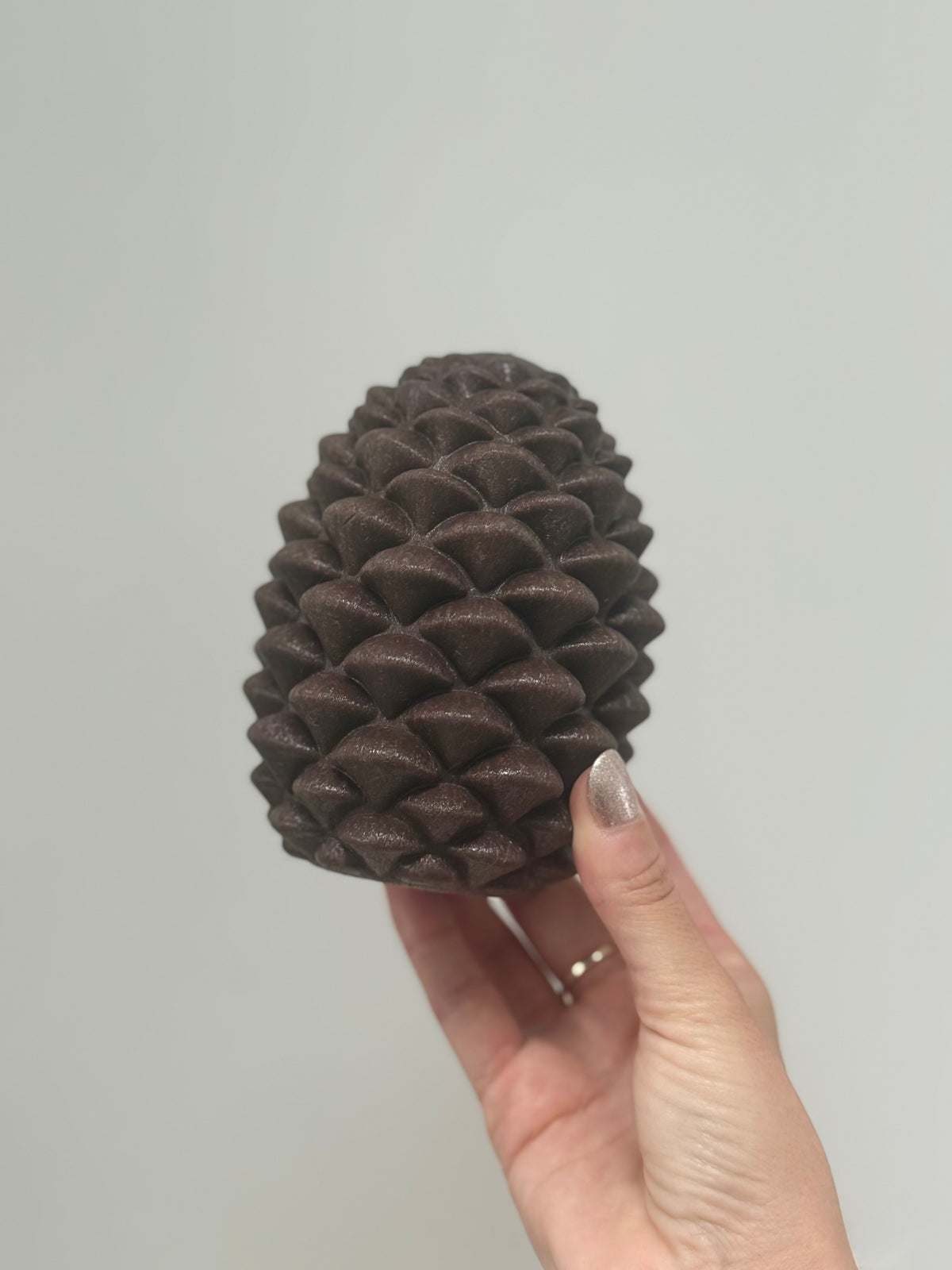 Ancol Treat Dispensing Pine Cone