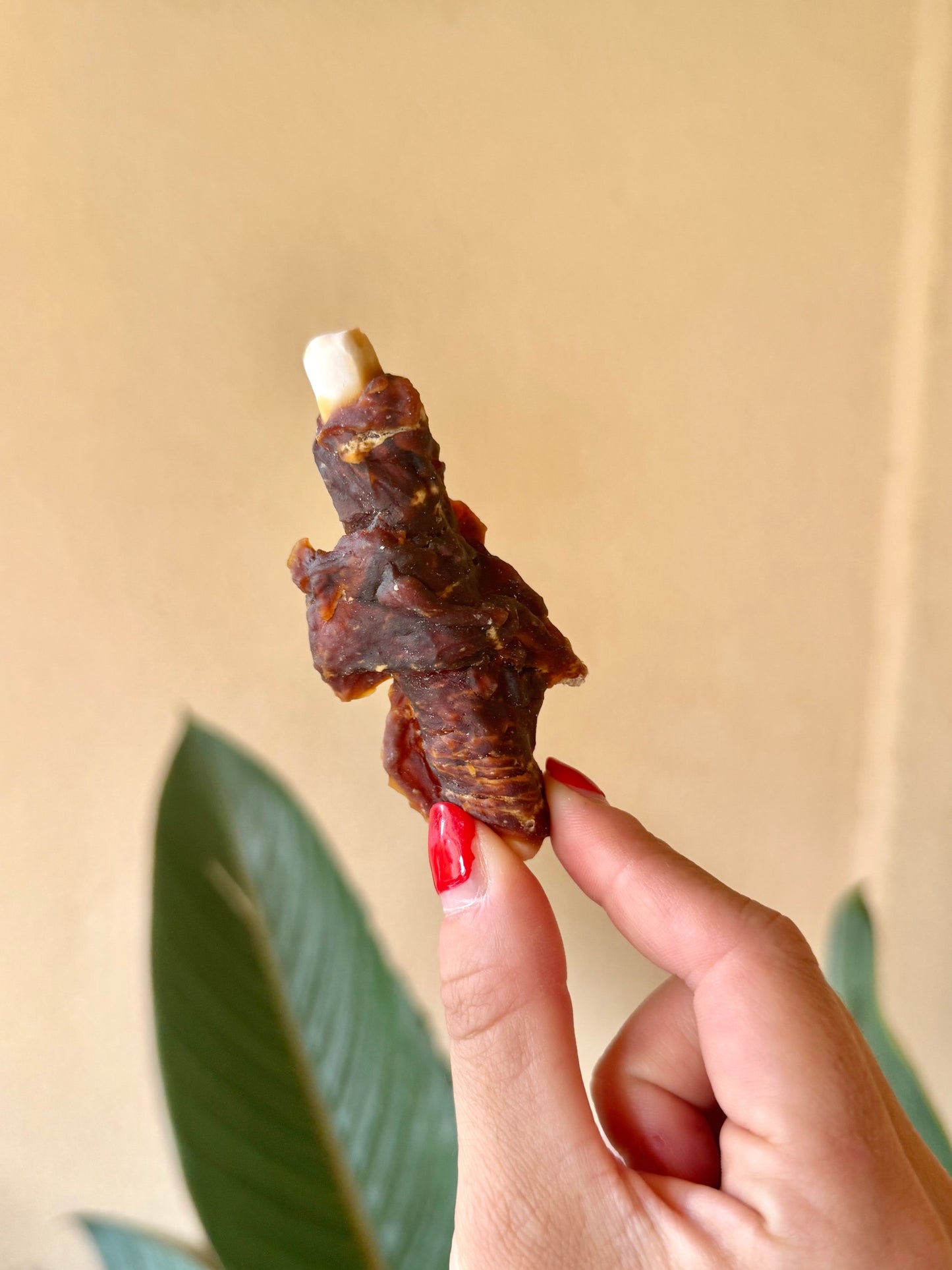 1 x Chicken Twig - Tail and Tropic