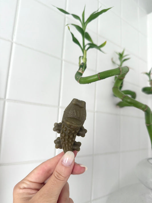 1 x Crocodile Dental Chew by Whimzees -  Tail and Tropic