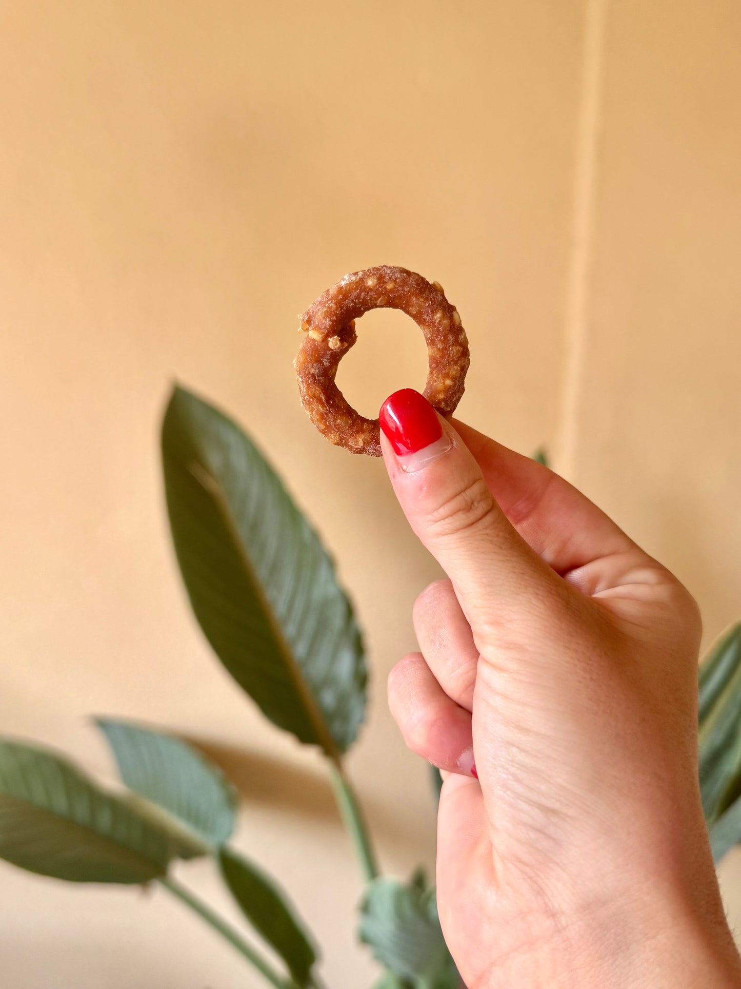 1 x Chicken Ring - Tail & Tropic