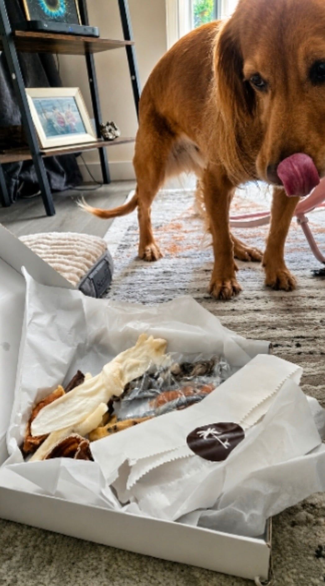 Surf ‘N’ Turf Tails Gourmet Grazebox