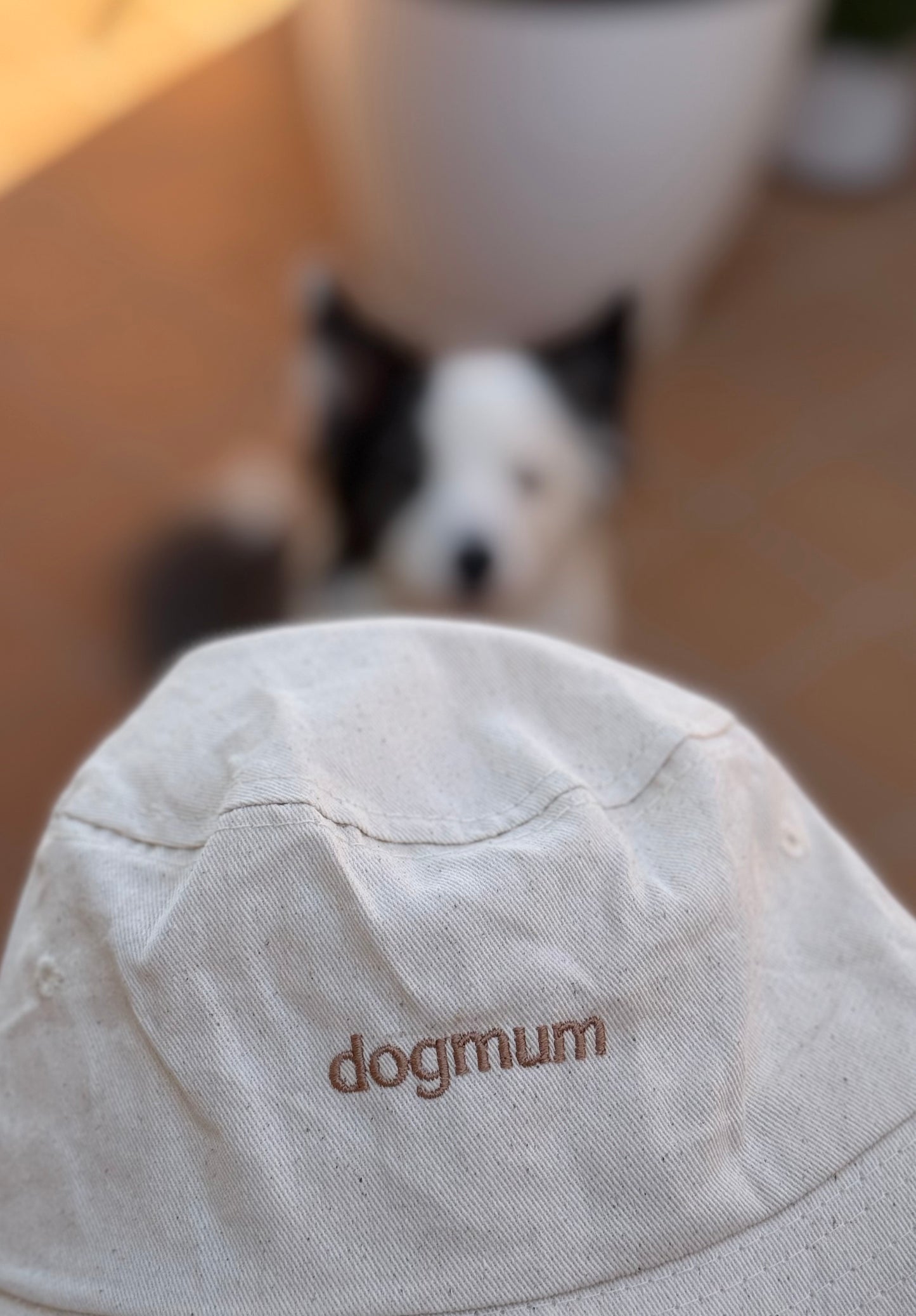 Sombrero de pescador – dogmum / el padre perro - Tail and Tropic