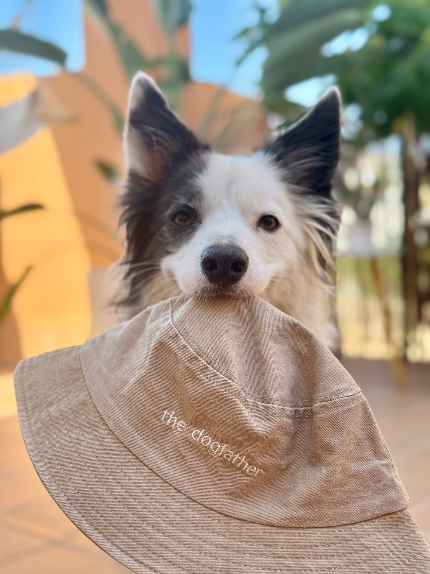 Sombrero de pescador – dogmum / el padre perro - Tail and Tropic