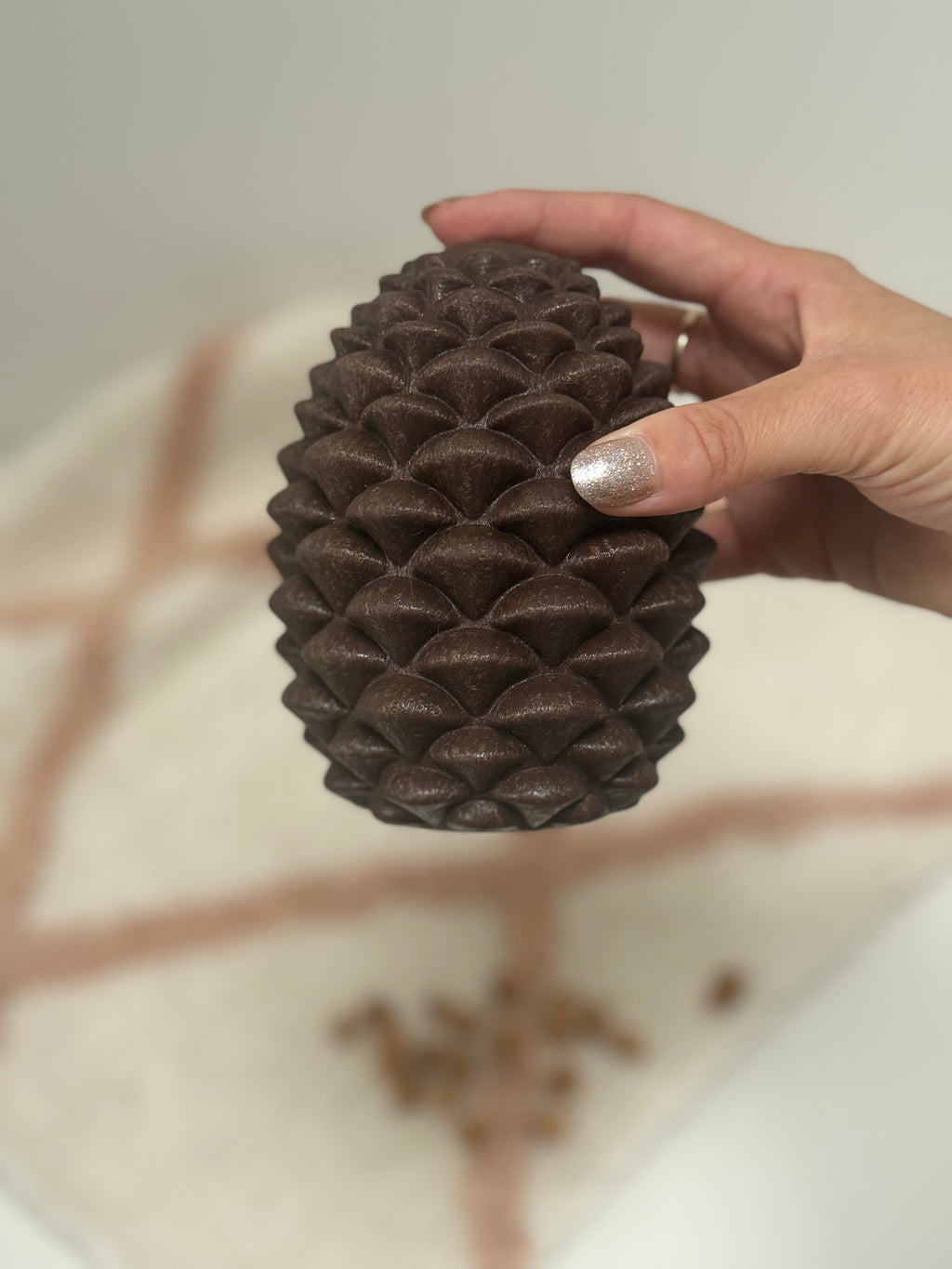 Ancol Treat Dispensing Pine Cone