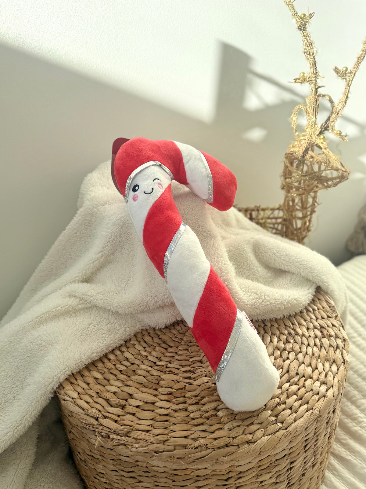 Big Candy Cane Rope Core Dog Toy