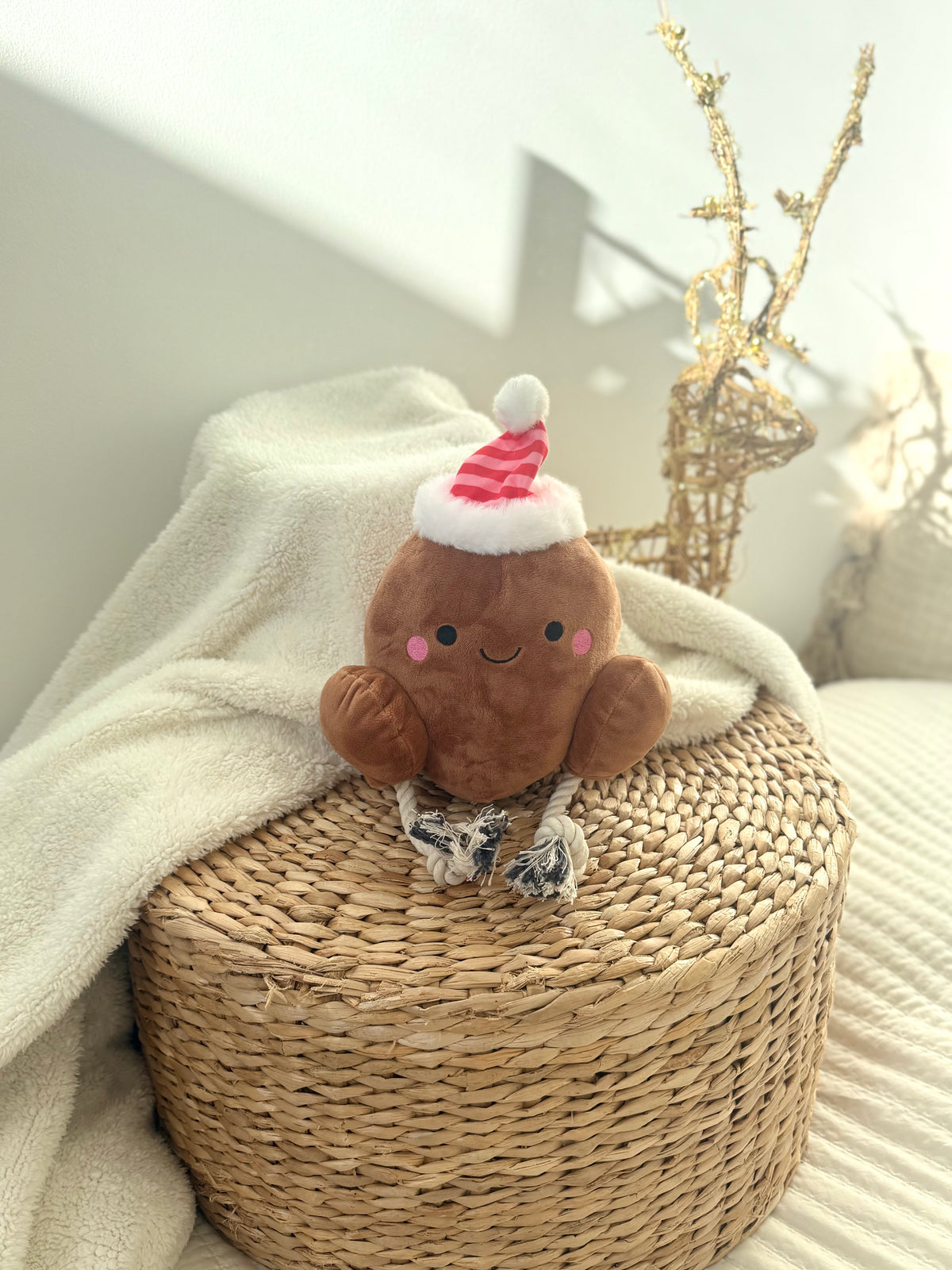 Festive Turkey Christmas Dog Toy