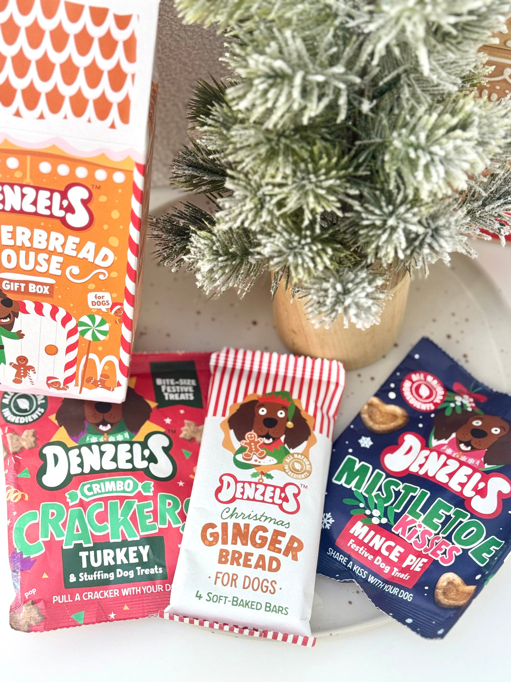 Denzel’s Festive Gingerbread House Gift Box