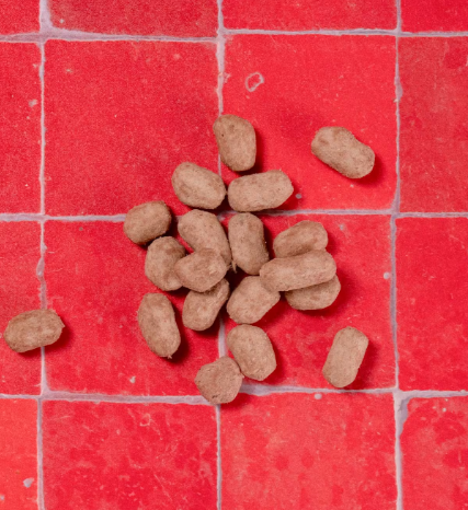 Pooch & Mutt Freeze-Dried Chicken Toppers 60g