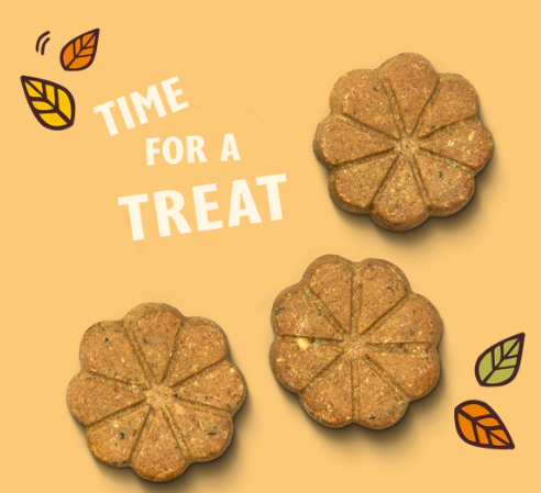Lily's Kitchen Breaktime Biscuits – Peanut Butter & Banana 80g