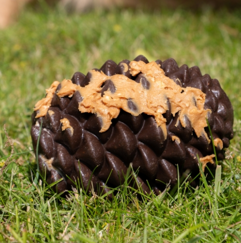 Ancol Treat Dispensing Pine Cone