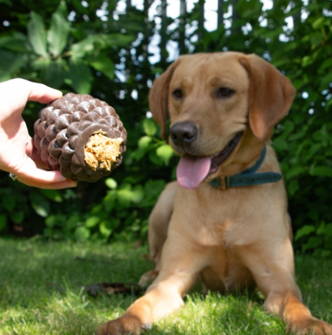 Ancol Treat Dispensing Pine Cone