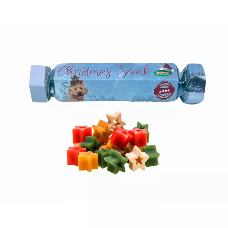 Christmas Cracker with Dog Treats – 100g Festive Snack