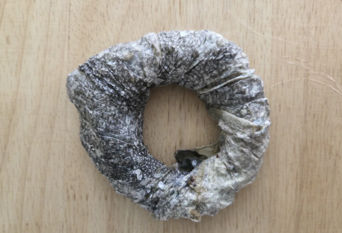 Fish Skin Donut