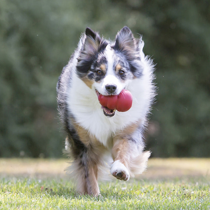 Classic Fillable Red KONG - Entertainment Tail and Tropic toys