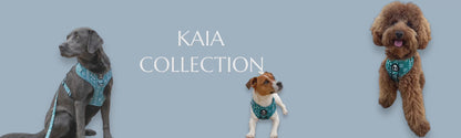 KAIA - Matching Scrunchie